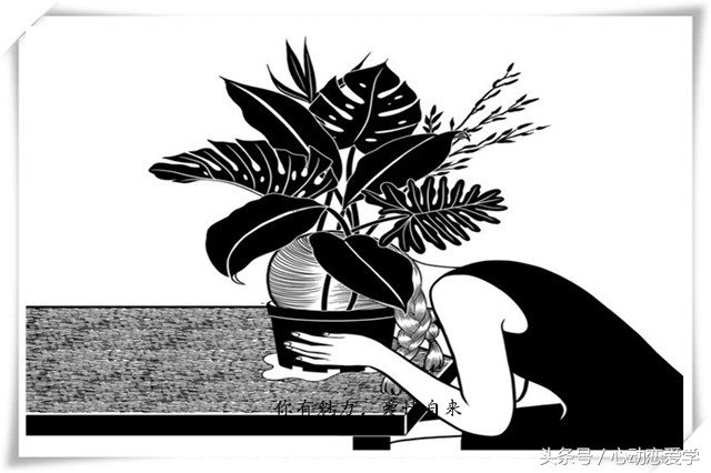 成真恋爱学表白技巧,心动表白教程