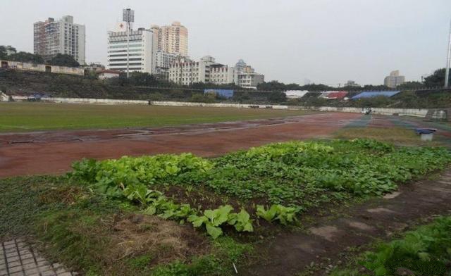 楦熷发绌嗛噷灏煎ゥ,绌嗛噷灏煎ゥ楦熷发浜嬩欢