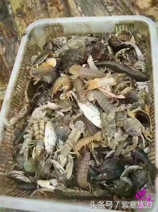 农家院采摘联盟(紫塞)乡村游攻略十六:唐山乐亭老船家农家院