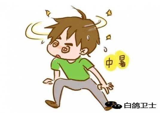 中暑了怎么急救步骤,中暑了该怎么自救