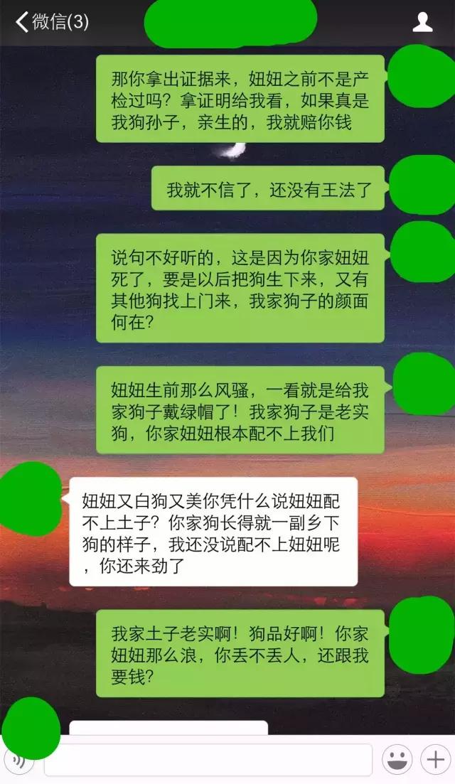还狗清白!隔壁家母狗肚子里的不是我家的!