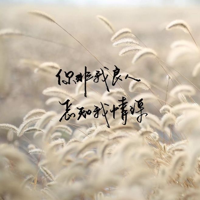 写有静心字的书法图片,练字作品20张