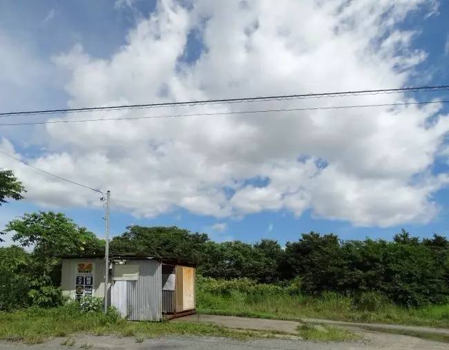 漫画家的工口书自贩机调查，与一代人的青春