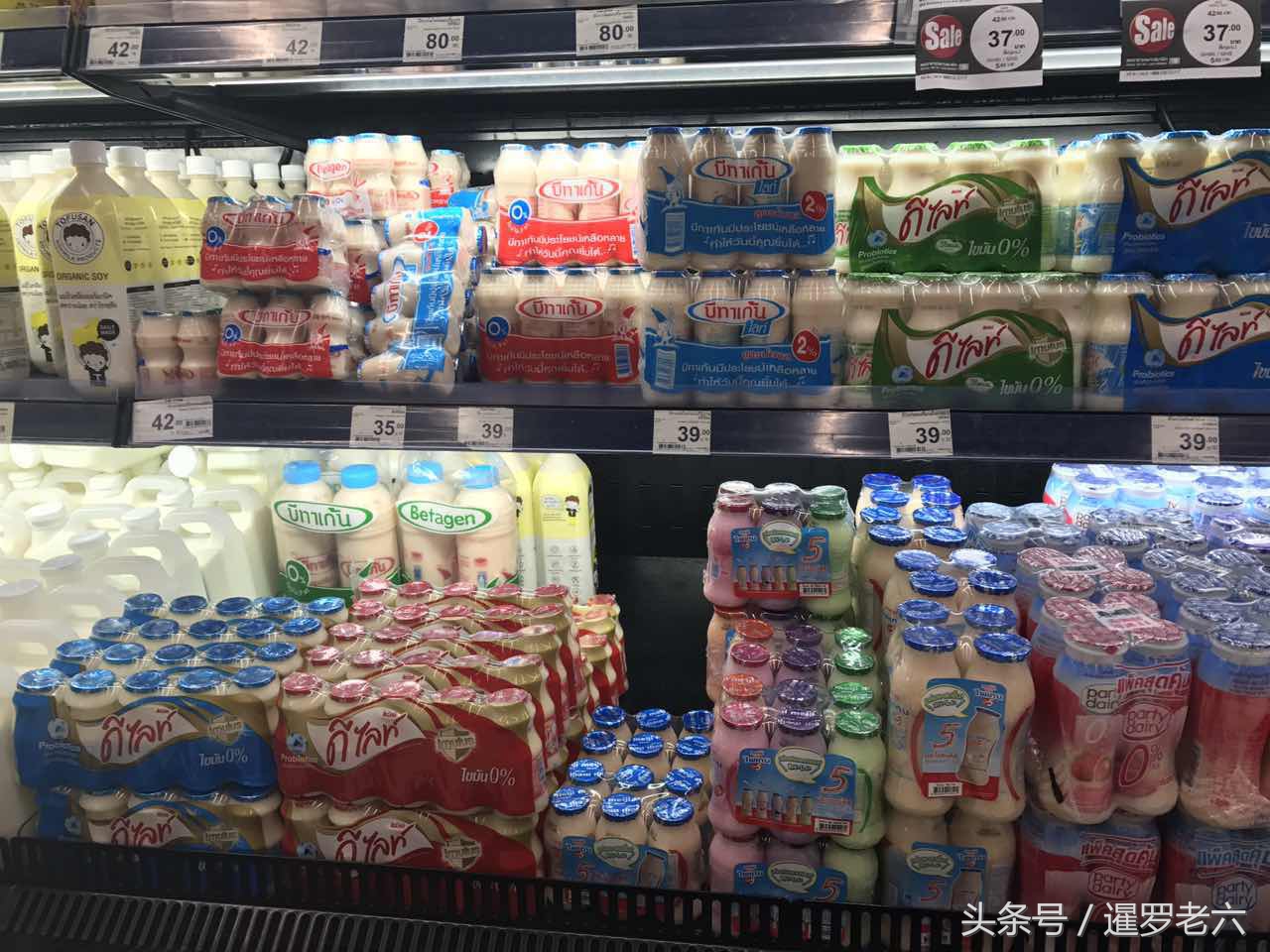 泰国又酷乳酸菌,泰国711好喝的乳酸菌
