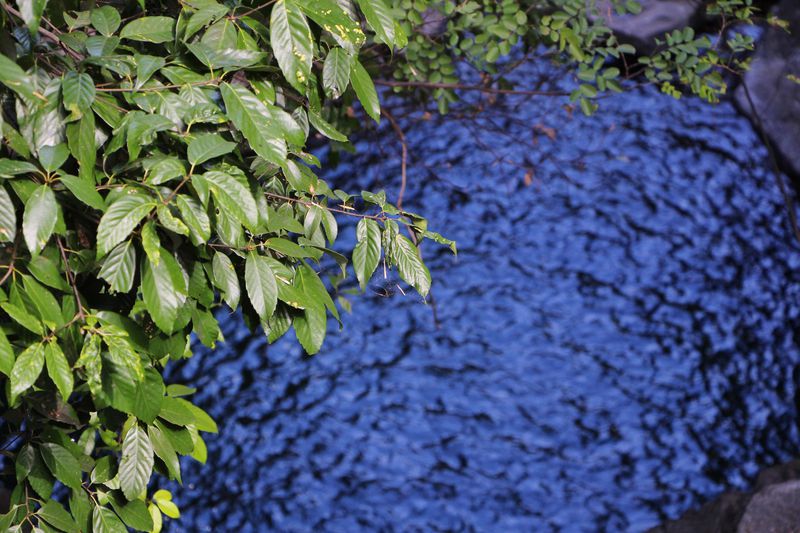 一场说走就走的夏日旅游,一场说走就走的山水旅游