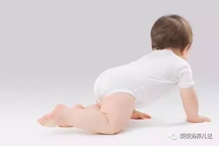 甭管虫子爬、小狗爬还是小熊爬,好歹您也爬一爬!爬行这一步绝对不容错过!