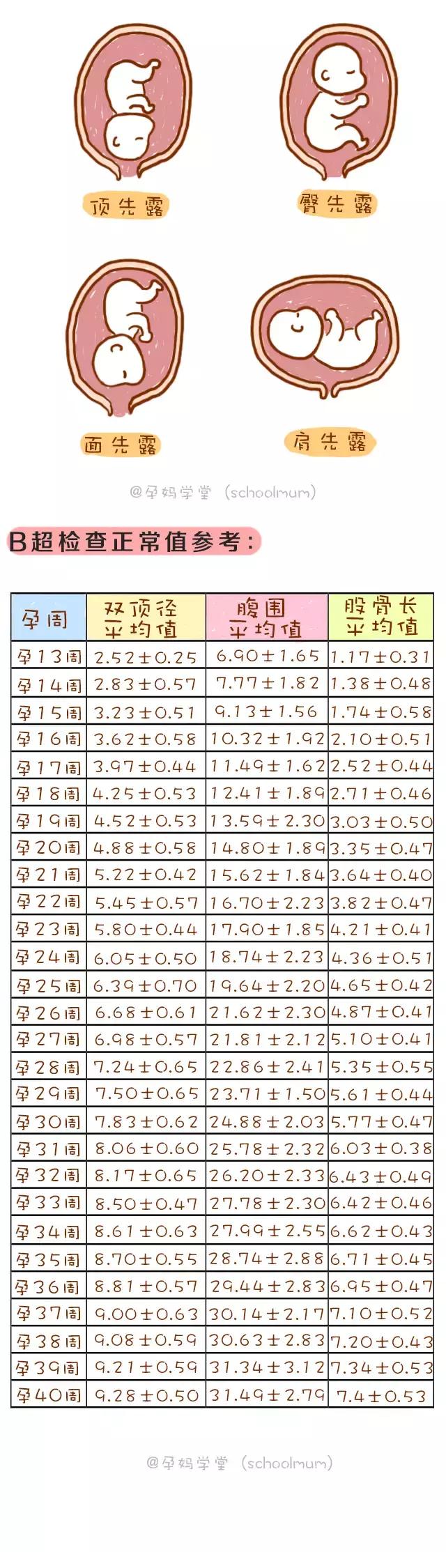 3分钟读懂孕期B超单！胎宝发育是否正常，答案都在这些数据里！