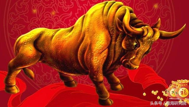 国家队进场个股表现,国家队进入股市的真实目的