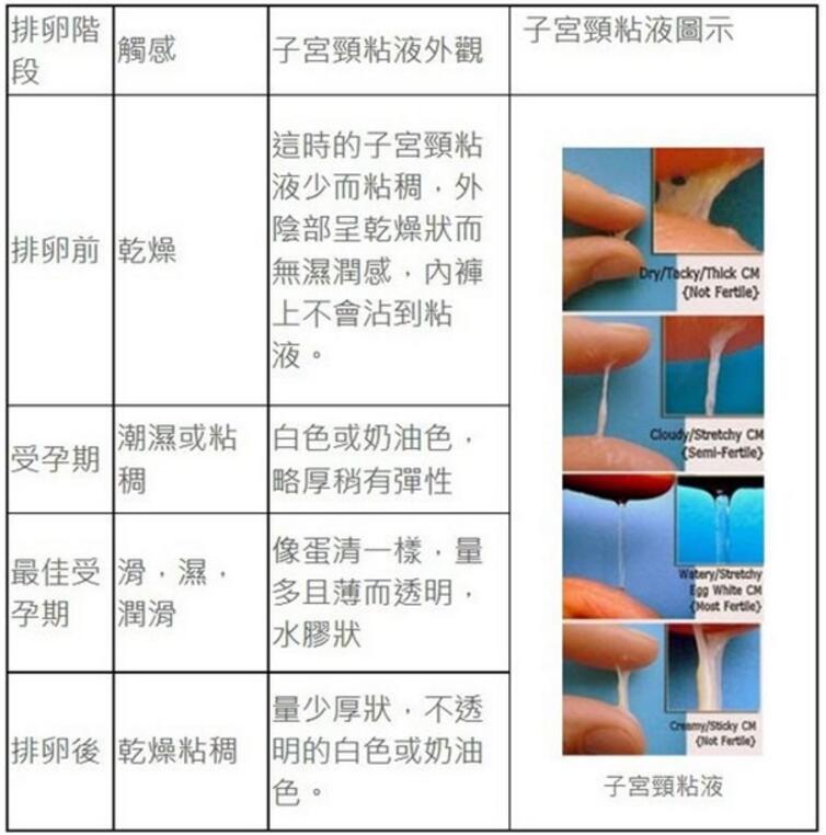 不孕是因为不排卵吗,怎么正确判断是不是排卵期