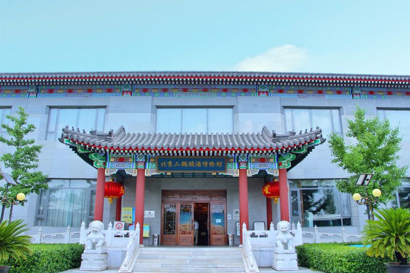 青山绿水间自由的飞翔,青山绿水放飞心情拥抱大自然