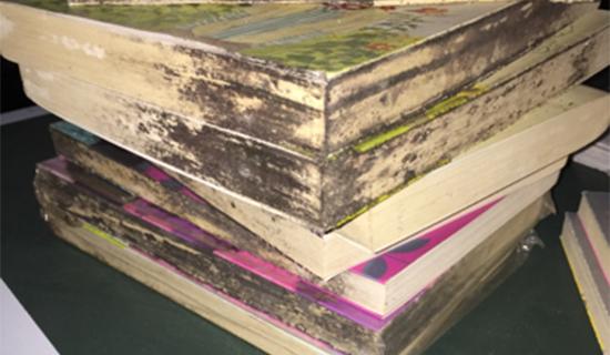 收藏册子起霉了怎么处理,发霉的旧书怎么处理