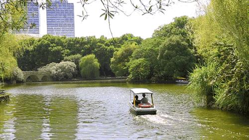 高温下的上海城市,上海40度以上高温