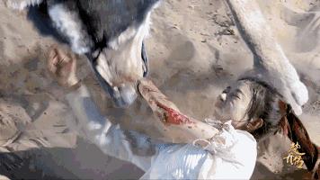 A股也有很多人活成了罗子君、楚乔的样子