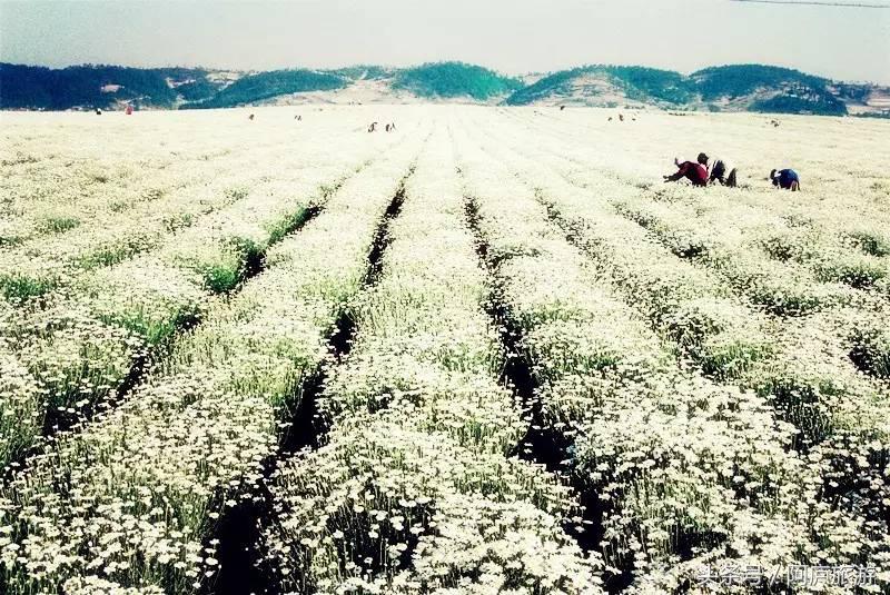 浣犵殑鍚嶅瓧鍗楀崕,浣犵殑鍚嶅瓧鎯呰妭