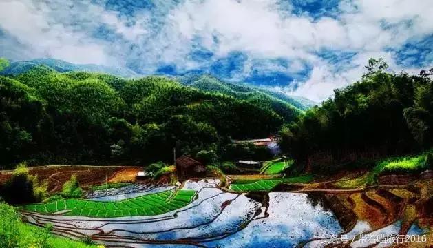 处州龙泉,处州龙泉在哪里