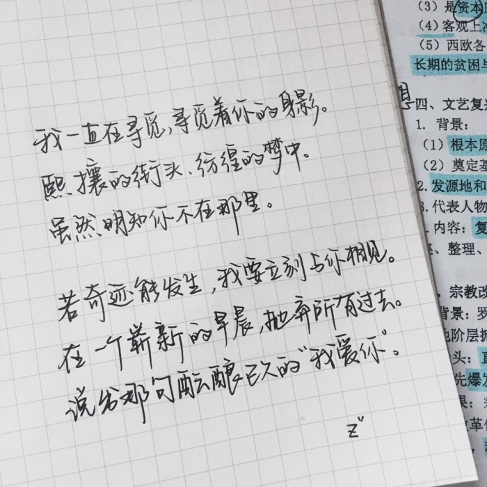 你脚下的地狱只是天堂的倒影 (你脚踩的地狱不过是天堂的倒影)