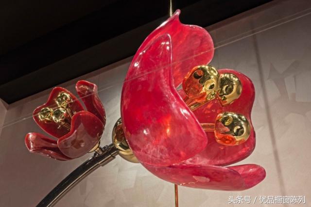 带你看遍所有车型,带你看遍大牌包包