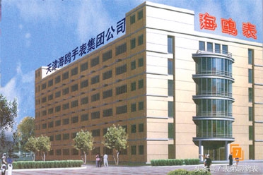 天津海鸥陀飞轮手表的价格,天津海鸥手表官方旗舰店