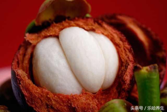 孕妇可以吃山竹笋不,孕妇可以吃山竹果吗