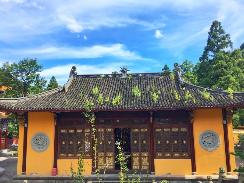 一场说走就走暑假旅行,一场说走就走的旅行来了