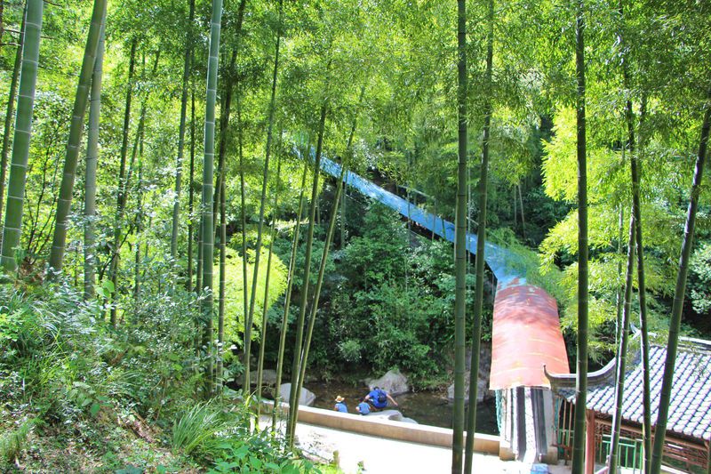 一场说走就走暑假旅行,一场说走就走的旅行来了