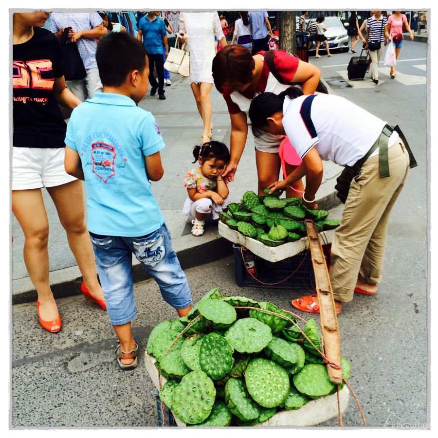 莲蓬怎么销售,卖莲蓬最好的销路