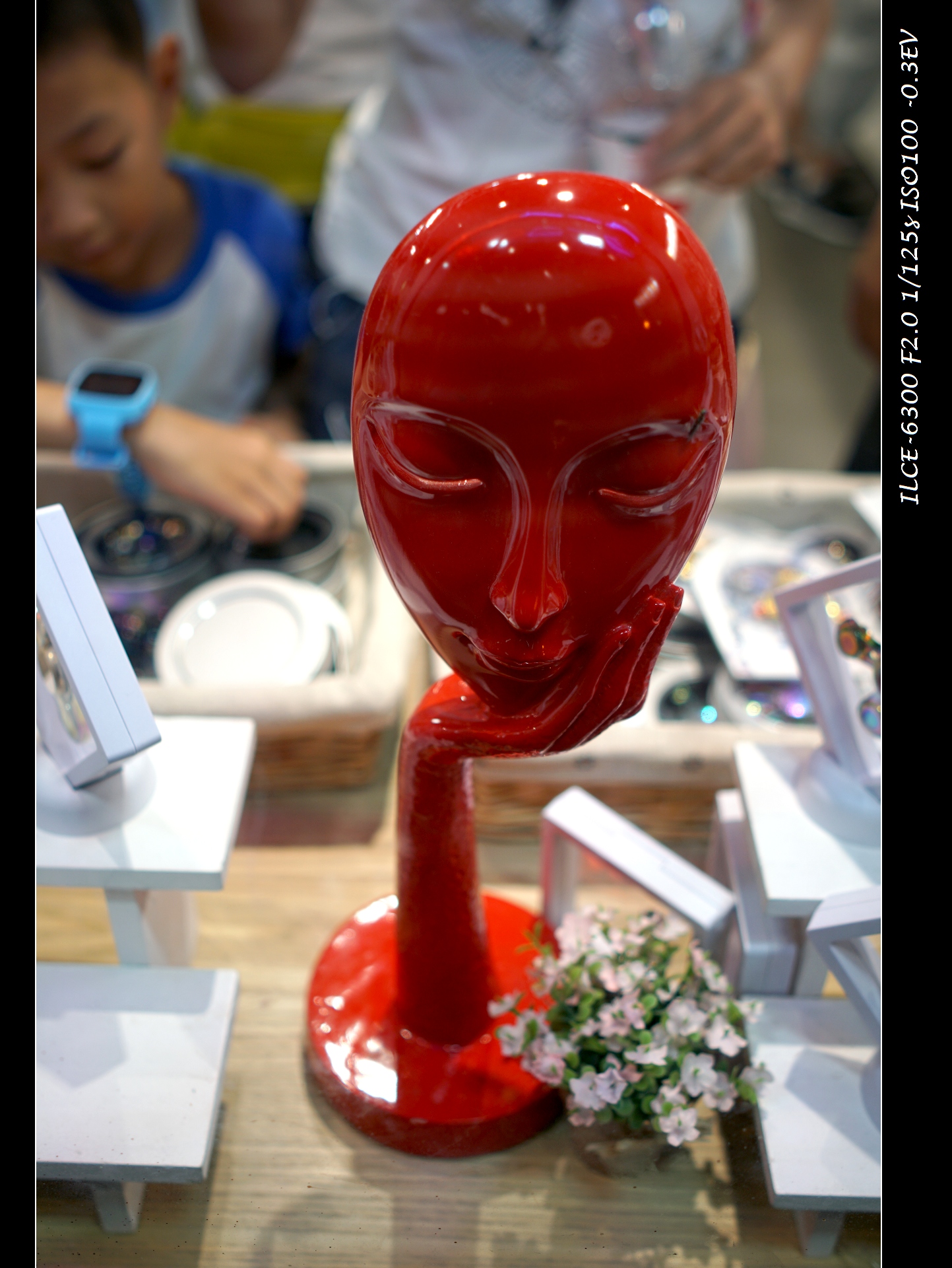 索尼微单a6000和a6300,索尼a6300微单摄影入门教程