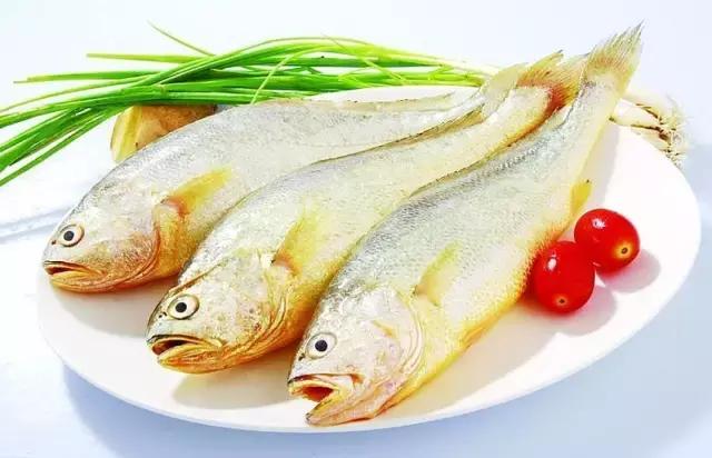 《一啸渔乐》常见的海鱼你认识多少？