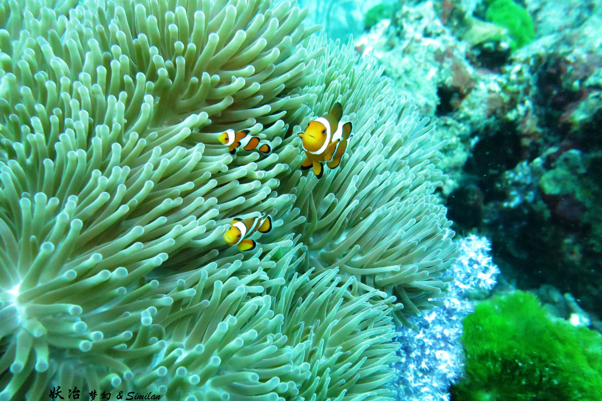 船在海上怎么过夜,国外顶级船宿攻略