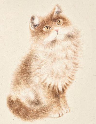 闅鹃亾鍦熺尗灏辫琚珜寮冨悧,鍦熺尗鐪熺殑寰堝彲鐖卞悧