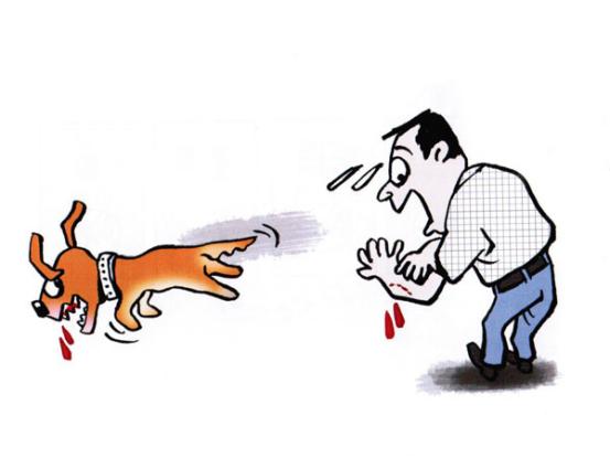 世界上最严重的狂犬病疫苗,狂犬病免疫疫苗