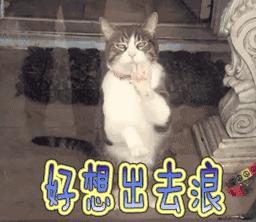 出租车司机遇到难解决问题,出租车司机难