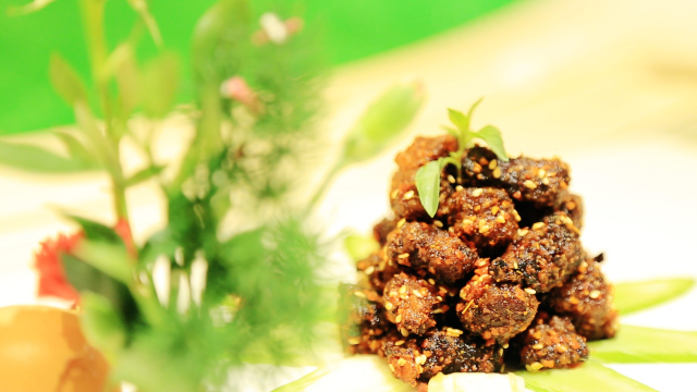 美丽乡村微电影艺术节河南信阳,2018美丽乡村国际微电影获奖作品