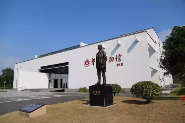 小产区祥源茶,小产区祥源茶礼盒