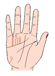 来,贫道帮你解析太阳线在手相中的重要作用,很多人不知道太阳线对我们运势的影响力