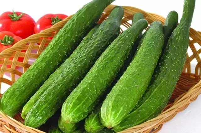 自家阳台上种的无公害绿叶菜,绿色蔬菜的种植方式是什么