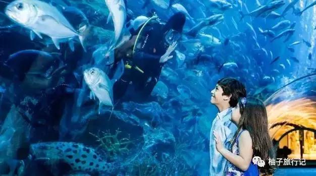 海外印象迪拜旅游攻略详细,迪拜旅游攻略自由行详细介绍