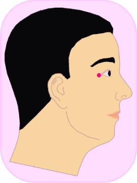 用什么抚平我的皱纹,如何抚平脸上的细纹