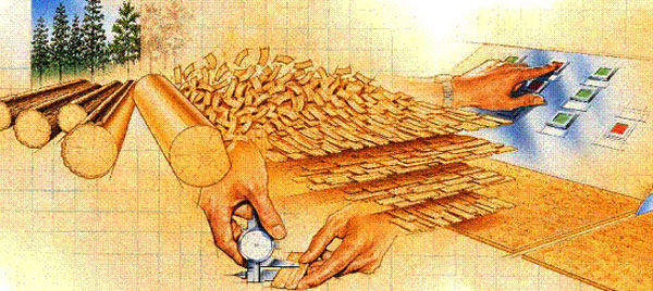 欧松板贴木纹纸效果,欧松板板材特性