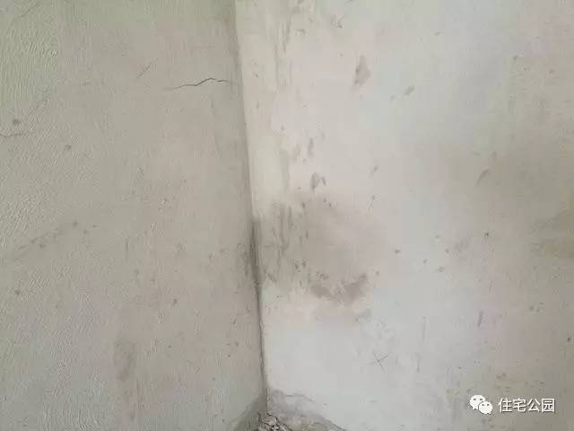 墙体渗水怎么补救最快,墙体漏水最好的补救方法