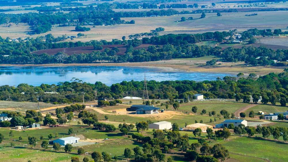 澳洲生蚝哪里最好,全球顶级生蚝多少钱一个