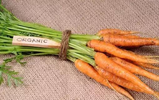 自家阳台上种的无公害绿叶菜,绿色蔬菜的种植方式是什么