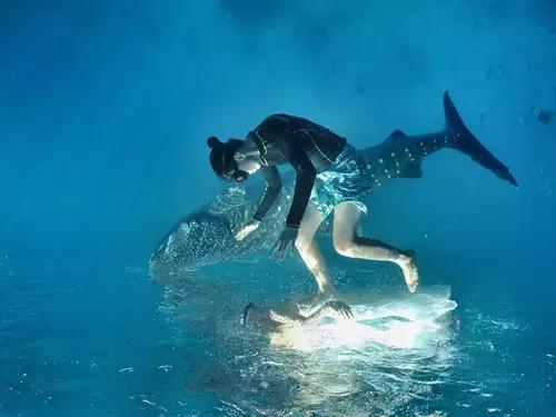 最值得去的4个海岛 (十大绝美海岛旅游攻略)