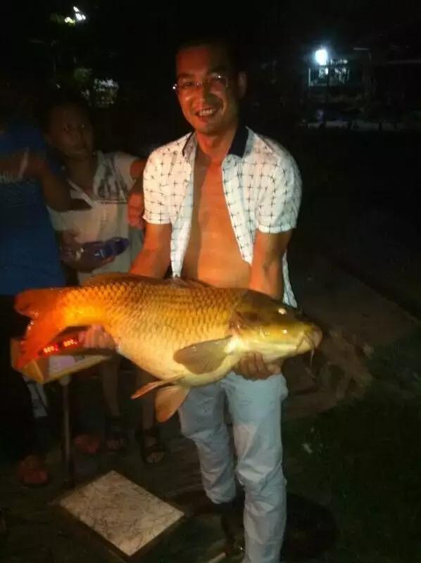 半价活动快来抢购,半价狂欢活动来袭