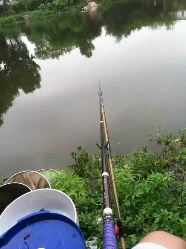 半价活动快来抢购,半价狂欢活动来袭