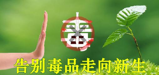吸毒掉头发吗,吸毒掉头发是怎么回事