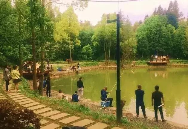 川渝黔避暑农家乐排行榜,重庆避暑农家乐包吃住