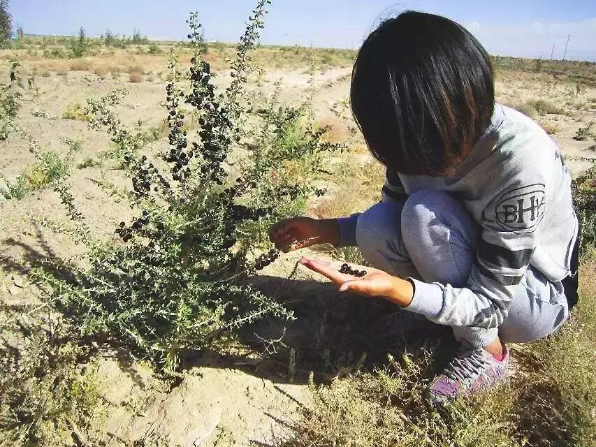 90后女生回到家乡创业,90后姑娘只身创业打拼