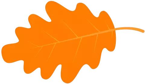 历年司法考试中的难题,司法考试老办法与新办法