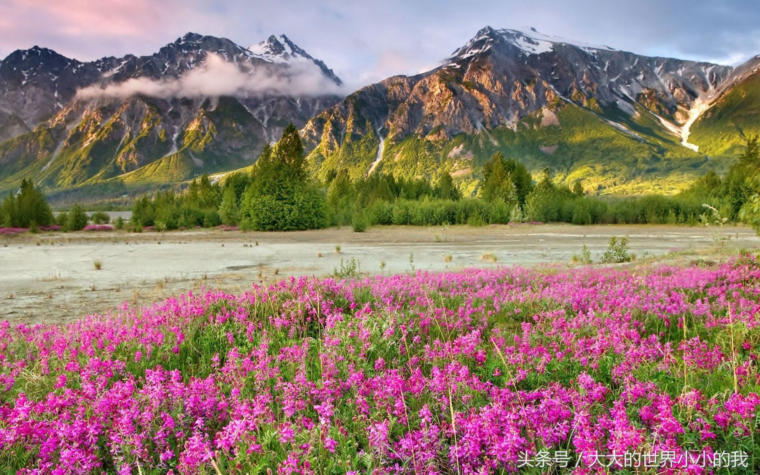 熬夜整理的杭州攻略,洛阳旅游年票最快办理方法是什么